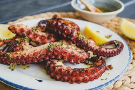 Lợi ích không ngờ của bạch tuộc đối với sức khỏe