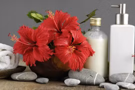 Công thức làm mặt nạ dưỡng tóc từ hoa dâm bụt 