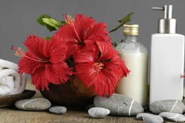 Công thức làm mặt nạ dưỡng tóc từ hoa dâm bụt 