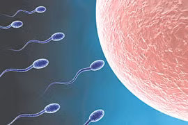 Nghe lời hù dọa “xuất tinh nhiều mất kẽm”, nam thanh niên cầu cứu bác sĩ