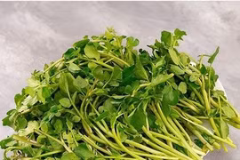 Loại rau được CDC Mỹ chấm 100 điểm về mật độ dinh dưỡng