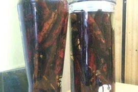 Uống rượu ngâm quả bòi vịt, 3 người trong một gia đình nhập viện cấp cứu