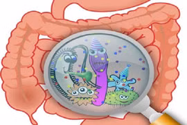 Ăn gì để loại bỏ ký sinh trùng đường ruột?