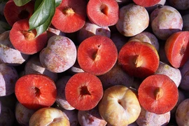 Mận vào mùa, ai nên hạn chế ăn để tránh rước họa vào thân?