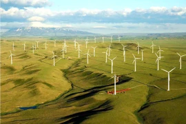  EVN mua điện tái tạo bằng 50% giá trần: “Quá bèo”?