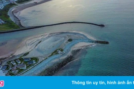 Nhiếp ảnh gia xứ Wales chụp được bức ảnh gây sửng sốt