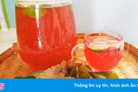 3 thời điểm tốt nhất nên uống lá tía tô ít người biết