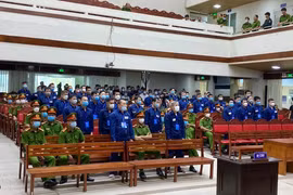 Đại gia xăng lậu cho “vợ bé” 12 tỷ đồng