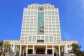 Vì sao Xi măng Xuân Thành, Vicem Bút Sơn vào tầm ngắm thanh tra?