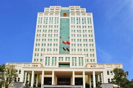 Vì sao Xi măng Xuân Thành, Vicem Bút Sơn vào tầm ngắm thanh tra?