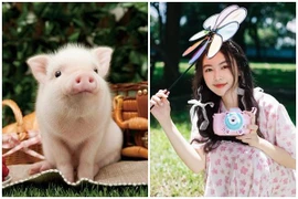 Con giáp sinh đúng tháng “học đội sổ” nhưng kiếm tiền dễ dàng