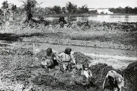 Ảnh cực hiếm về phụ nữ nông thôn Việt Nam hơn 100 năm trước