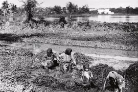 Ảnh cực hiếm về phụ nữ nông thôn Việt Nam hơn 100 năm trước