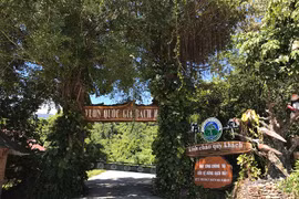 “Trùm du lịch” bị thu hồi 03 khu đất tại Vườn QG Bạch Mã