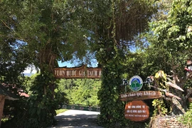“Trùm du lịch” bị thu hồi 03 khu đất tại Vườn QG Bạch Mã
