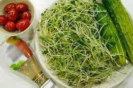 5 thực phẩm không chế biến kỹ dễ ngộ độc chết người