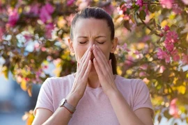 Nguyên nhân nhiều người bị dị ứng vào mùa xuân