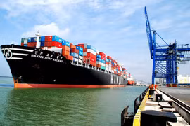 Hệ sinh thái của Tân Cảng Sài Gòn làm ăn ra sao?