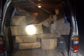 Bắt xe ô tô chở lượng lớn gỗ lậu, phát hiện tài xế không bằng lái