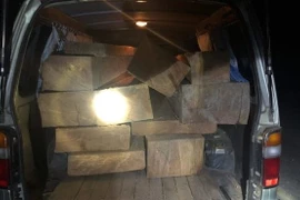 Bắt xe ô tô chở lượng lớn gỗ lậu, phát hiện tài xế không bằng lái