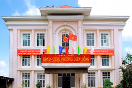 Gia Lai: Công ty Nhật Quang trúng 2 gói thầu trong 1 ngày 