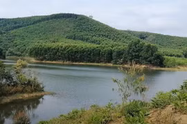 Công ty Đông Sơn sẽ sửa chữa loạt hồ chứa nước ở Gia Lai