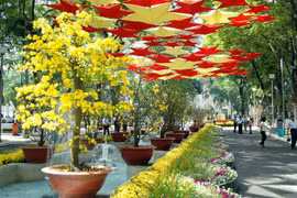 Nha Trang: Gói trang trí Tết hơn 13 tỷ đã tìm được nhà thầu thi công