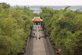 TPHCM: Gói thầu hơn 11 tỷ đồng có về tay Công ty Lưu Nguyễn?