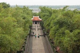 TPHCM: Gói thầu hơn 11 tỷ đồng có về tay Công ty Lưu Nguyễn?