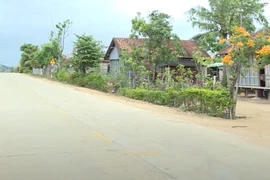 Gia Lai: Duy nhất liên danh Kbang dự gói thầu làm đường hơn 120 tỷ 