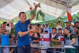 Đấu giá sâm Ngọc Linh ủng hộ quỹ xóa nhà tạm cho hộ nghèo