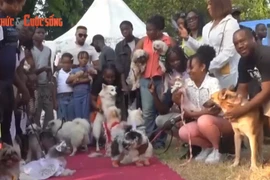 Lễ hội hóa trang chó Lagos