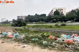 TP HCM: Người dân sống cùng "ô nhiễm"?