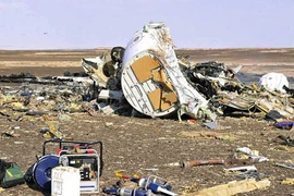 Kết quả giám định pháp y ban đầu vụ máy bay Nga rơi