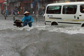 Thiên tai ở Việt Nam: Tăng quy mô và chu kỳ lặp lại