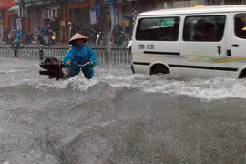 Thiên tai ở Việt Nam: Tăng quy mô và chu kỳ lặp lại