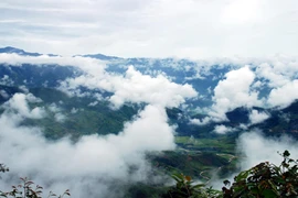 Người "chăn rắn" bí ẩn dưới đỉnh Phu Xai Lai Leng