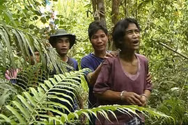 Sai lầm khi đưa “người rừng” về với loài người?