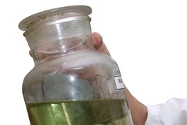 Thực hư chuyện rắn đã ngâm rượu lao ra... cắn người?