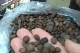 Lọc nước bằng vi khuẩn