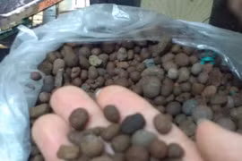 Lọc nước bằng vi khuẩn