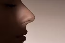 Mũi người có tế bào khứu giác nhiều hơn sao trên trời