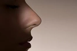 Mũi người có tế bào khứu giác nhiều hơn sao trên trời