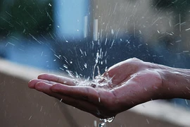 Tại sao phải lọc và đun sôi nước mưa mới uống?