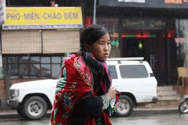 Vui, buồn trong tuyết