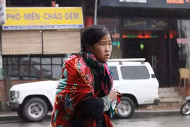 Vui, buồn trong tuyết