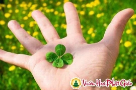 Con đường duy nhất để thay đổi vận mệnh