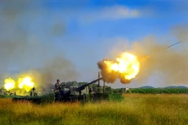 Sức mạnh hỏa lực của Trung đoàn Bộ binh 31, Sư đoàn 309