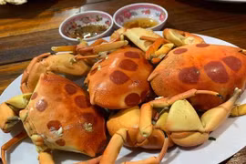 Top đặc sản đảo Phú Quý níu chân du khách