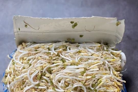 5 cách đơn giản làm giá đỗ sạch ngon, ăn không phải lo